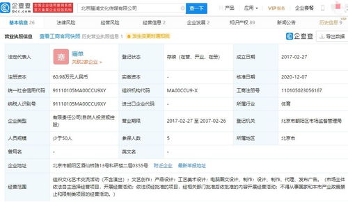 電腦圖文設計制作 從概念到成品的數字化藝術之旅